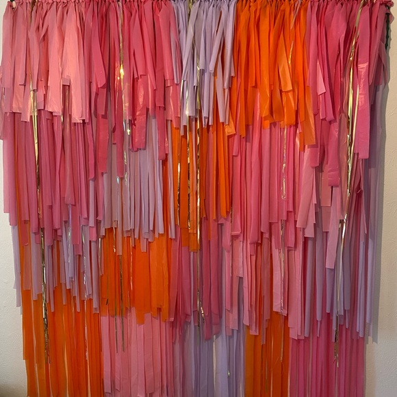 Photo Backdrop - Picture 3 of 4